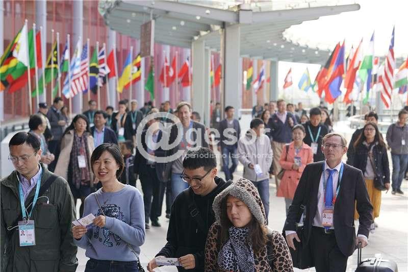 Image2
